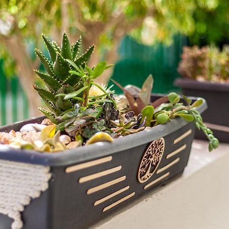 Cactus Διαμέρισμα Μασπαλόμας Εξωτερικό φωτογραφία