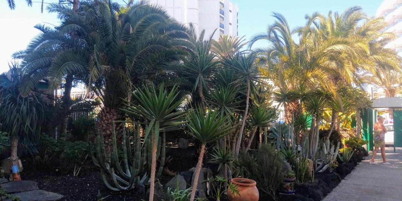 Cactus Διαμέρισμα Μασπαλόμας Εξωτερικό φωτογραφία