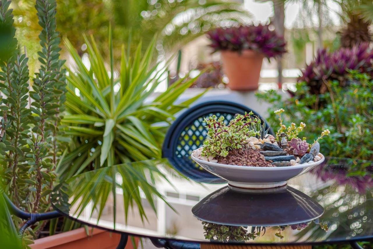 Cactus Διαμέρισμα Μασπαλόμας Εξωτερικό φωτογραφία